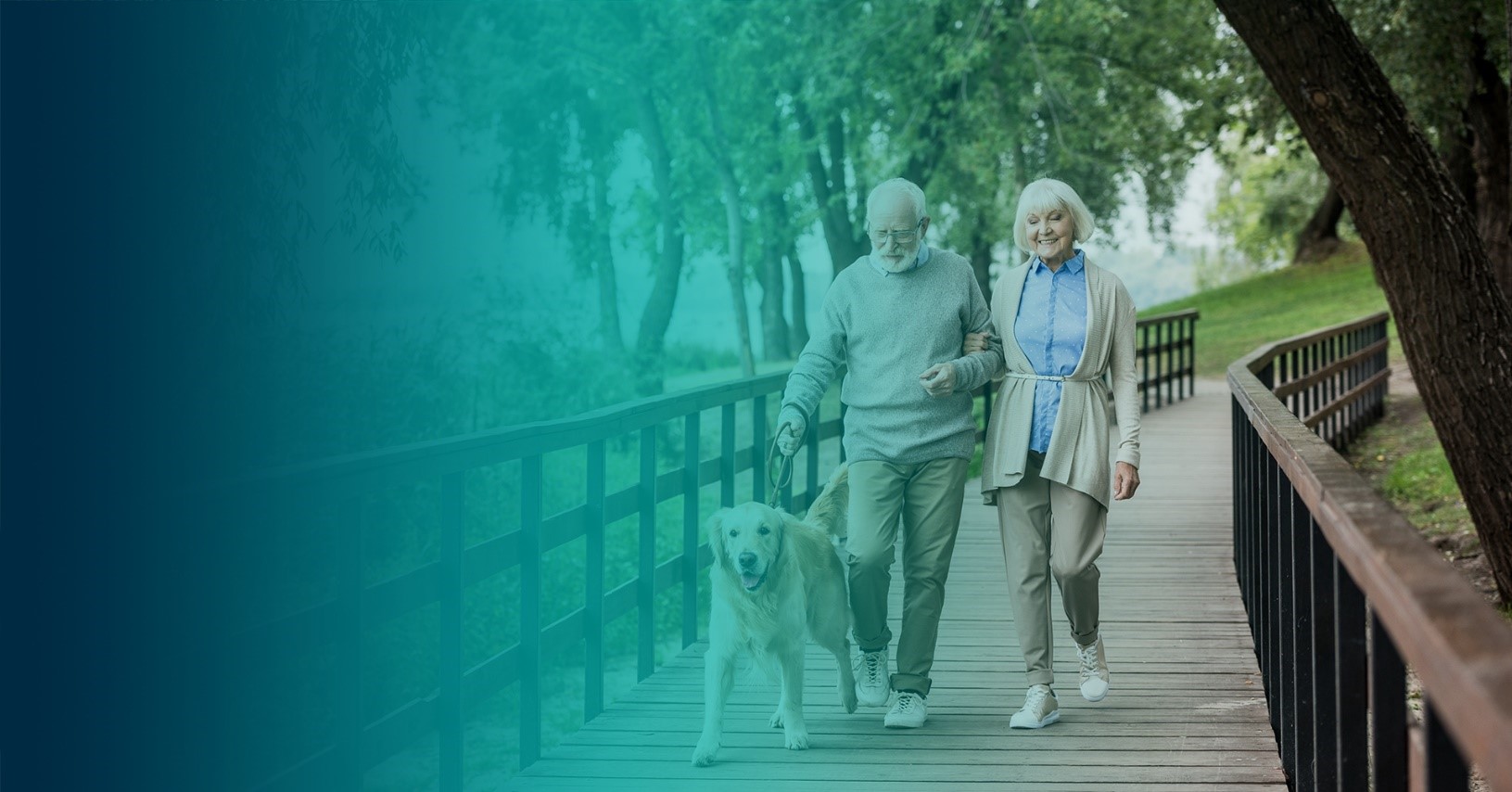 Elderly couple walking their dog in the park